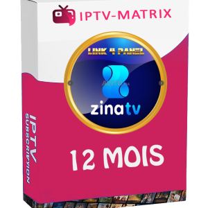 Abonnement Zina online istar 12 mois